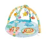 Baby Play Gym