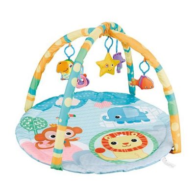 Baby Play Gym