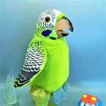 Musical Stuffed Talk Back Parrot