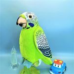 Musical Stuffed Talk Back Parrot