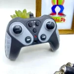 Remote Control Dinosaur