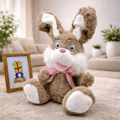 Peek-A-Boo Plush Bunny