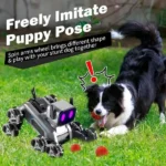 Hand Gesture & Remote Control Robot Dog