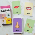 Educational Flash Cards For Kids